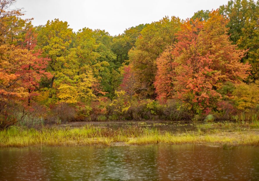 Presque Isle State Park Adventure: Your Convenient Basecamp at Mar-Da-Jo-Dy